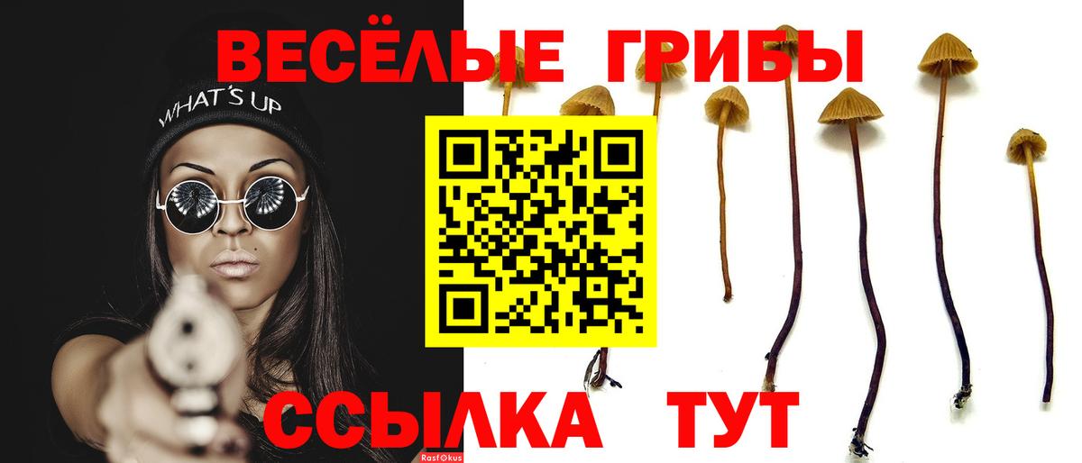 Нефтеюганск  Галлюциногенные грибы мухоморы  купить закладку  Вход с VPN 